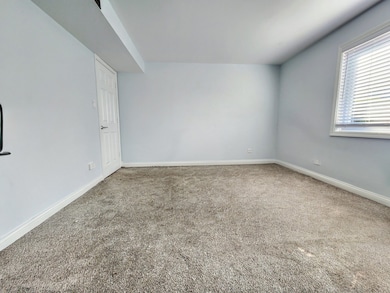 11131 S 84th Ave unit 1A, Palos Hills, IL 60465 - photo 7