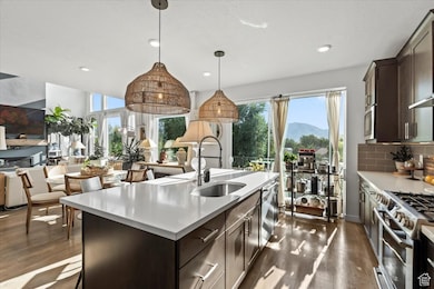 Kitchen featuring dark brown cabinetry, dark wood-style flooring, appliances with stainless steel finishes, plenty of natural light, and recessed lighting