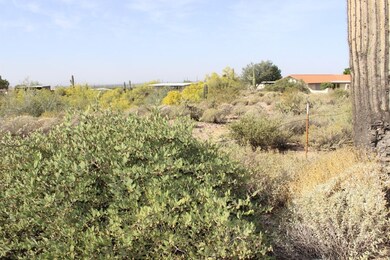 IMG_0581
