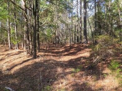 Tbd Burrage Rd unit LotWP001, Enterprise, MS 39330 - photo 2