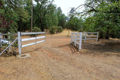 Creek Trail35