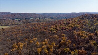 46.95 acres S Black Oak Rd, Fayetteville, AR 72701 - photo 7