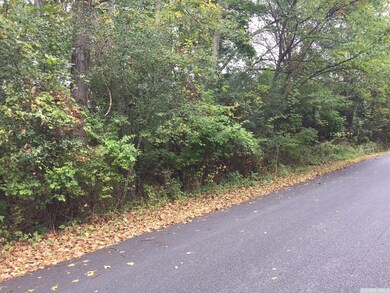 68 - C Randy Rd, Sleepy Hollow Lake, NY 12015 - photo 4