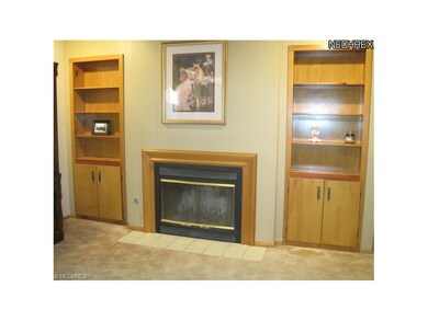 Fireplace and Built-In Bookcases