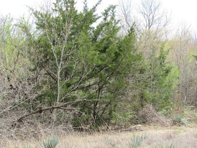 3717 Stonebridge Dr, Weatherford, TX 76085 - photo 7