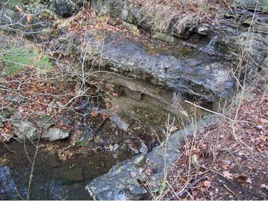 0 Irish Hills Blvd, Kimberling City, MO 65686 - photo 3