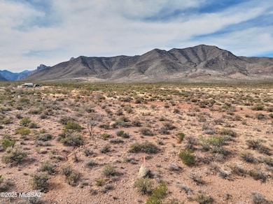 Tbd Foothills Rd unit C, Portal, AZ 85632 - photo 3