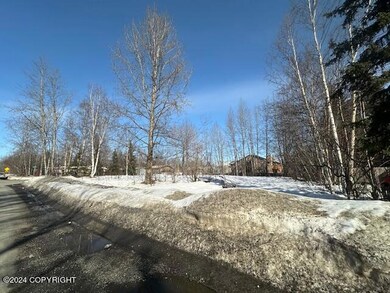 IMG_9869