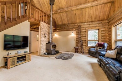 Wood Stove