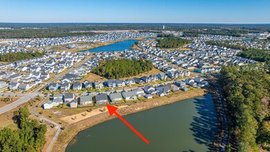 353 Parish Farms Dr, Summerville, SC 29486 - photo 6