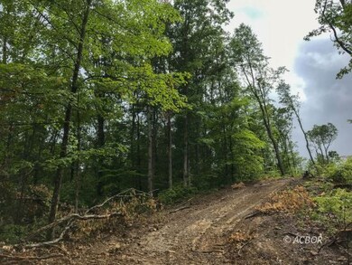 East Branch Rd 32 acres