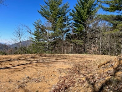 Lot 4 Mystic Ridge Way W, Topton, NC 28734 - photo 7