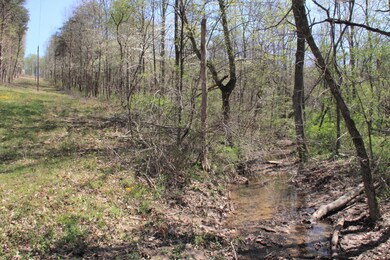 16331SkinnerHockingHills