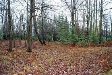 N6460 Laverne Ln, Hawkins, WI 54530 - photo 3