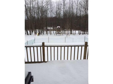 Yard/Garden.