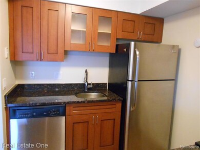 2830 Davison Ave unit 77, Auburn Hills, MI 48326 - photo 4