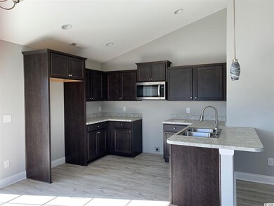 100 Pumpkin Ash Loop, Conway, SC 29527 - photo 3