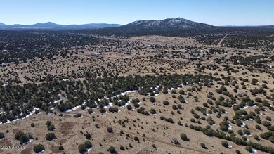 Photo_6553706_DJI_106_jpg_5790868_0_2021
