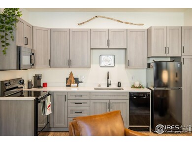 2121 Hummingbird Way unit 3-201, Georgetown, CO 80444 - photo 6