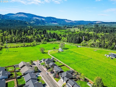 1231 SW 3rd Ave, Mill City, OR 97360 - photo 4