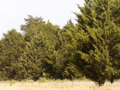 4015 SE Cr 1080 unit 1, Corsicana, TX 75109 - photo 3