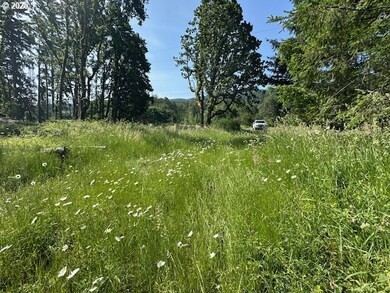 0 S Cedar Mill Rd, Lyons, OR 97358 - photo 4