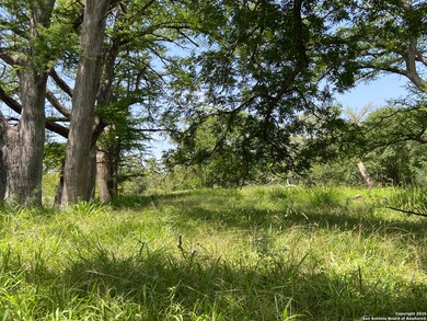 412 Lebouf Rd, Utopia, TX 78884 - photo 2