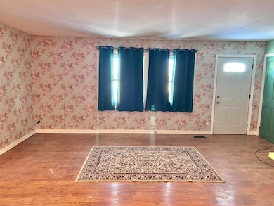 1169 Division St, Adrian, MI 49221 - photo 4