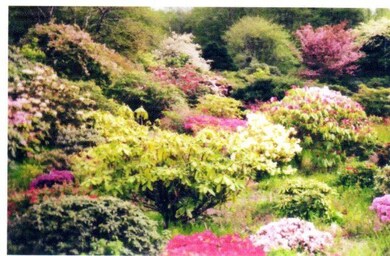 TL# 1801 Doughty Rd, Tillamook, OR 97141 - photo 3