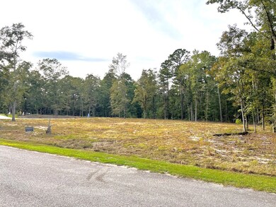 Lot View from Street