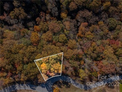 1736 Wood Owl Ct unit 36R, Hendersonville, NC 28791 - photo 2