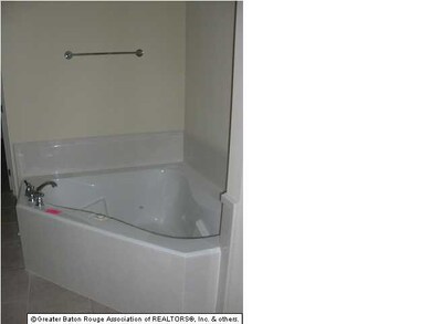Master Bath Tub
