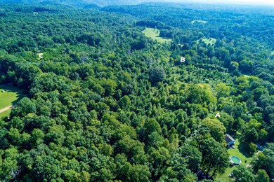 0 50 Ac Smith Ln, Cookeville, TN 38501 - photo 2