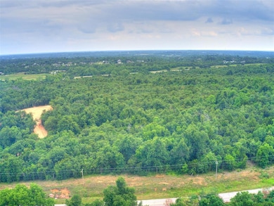 Bird's eye view with a forest view