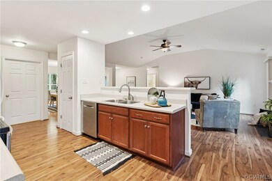 6312 Walnut Tree Dr, Powhatan, VA 23139 - photo 7