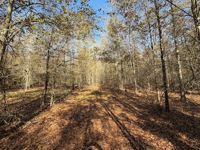 0 24 S unit 549085, Waynesboro, GA 30830 - photo 2