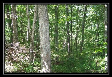 0 N Fairview Rd, Logan, OH 43138 - photo 6