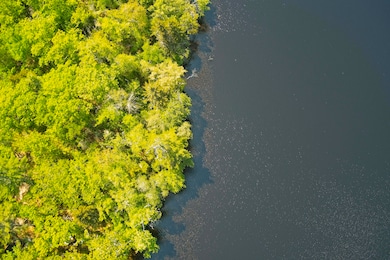 Aerial view along the subject