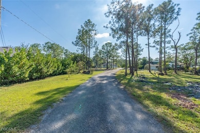 3690 31st Ave NE, Naples, FL 34120 - photo 5