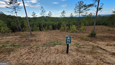 75 Elkton Ct, Ellijay, GA 30540 - photo 3