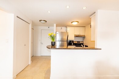 Parris Landing unit 3309, Charlestown, MA 02129 - photo 5