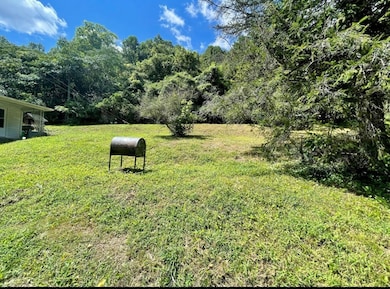 644 Clearwater Rd, Wayland, KY 41666 - photo 5