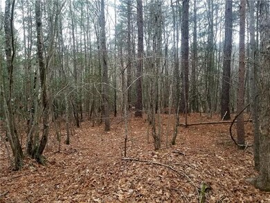 Private, Wooded Lot Ideal For Basement Plan
