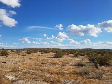 0 Schoharie unit 830600, Horizon City, TX 79928 - photo 4