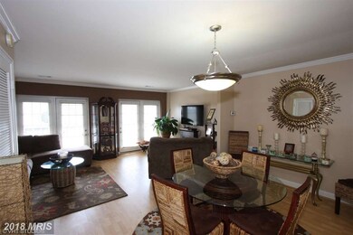 4021 Chesterwood Dr unit 4021, Silver Spring, MD 20906 - photo 4