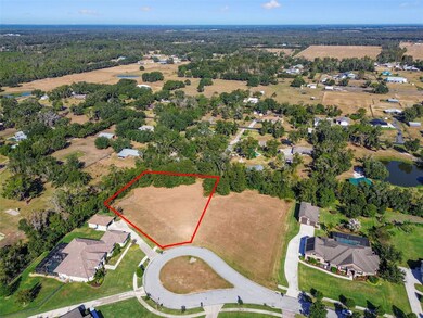 420 Hawk Talon Dr, Lithia, FL 33547 - photo 5