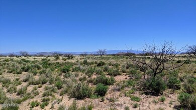 3.21 ACRE(3 Lots) on Quinn St (4)
