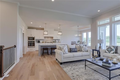 14905 S Haskins St, Olathe, KS 66062 - photo 6