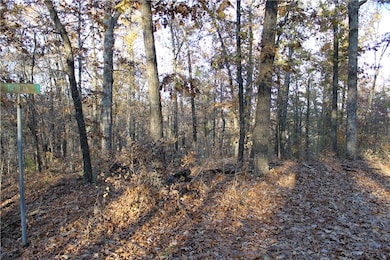 0 Carew Dr unit 1133051, Bella Vista, AR 72714 - photo 5