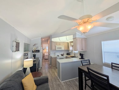 39701 Cog Hill Loop, Zephyrhills, FL 33542 - photo 7